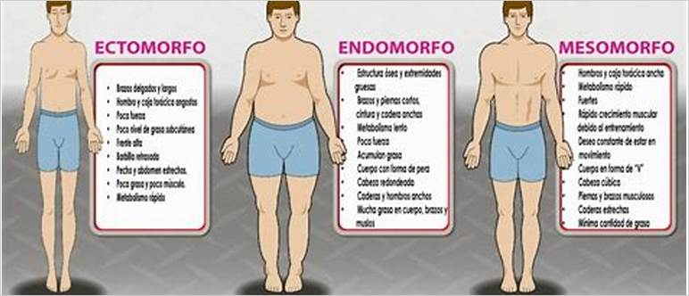 Dieta para cuerpo endomorfo